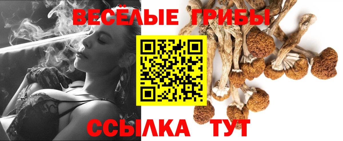 Псилоцибиновые грибы прущие грибы  Галлюциногенные грибы прущие грибы  Орск  Вход с VPN 